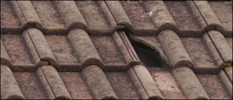 Roof Repairs Taunton