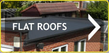 FLAT ROOFS